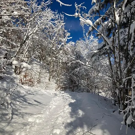Partagé Couette-café
